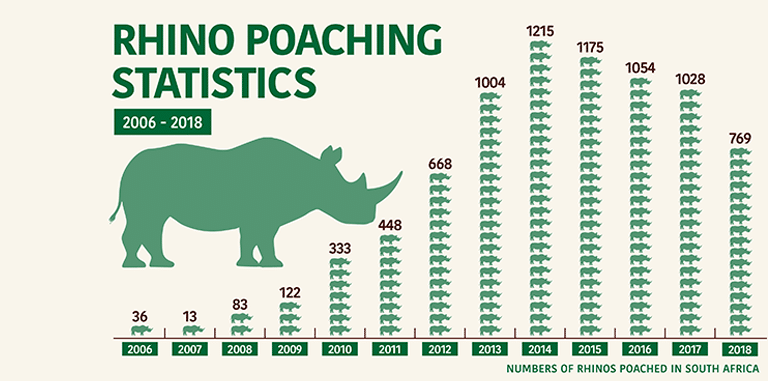 rhino poaching statistics